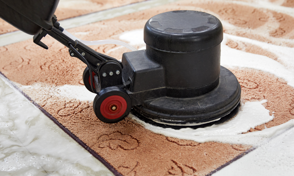 Tips for Keeping Your Area Rugs Looking Fresh and Clean hero image
