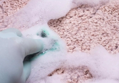 Upholstery Unveiled: The Importance of Professional Cleaning and Its Benefits blog image