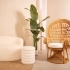 Hidden Gems in the DC Suburbs Worth Visiting small image